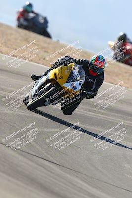 media/Jan-14-2024-SoCal Trackdays (Sun) [[2e55ec21a6]]/Turns 9 and 8 (10am)/